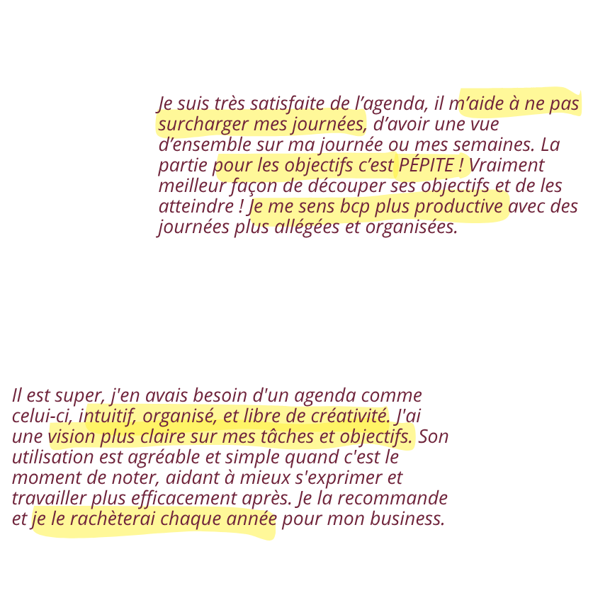 avis clients sur l'agenda de l'entrepreneur